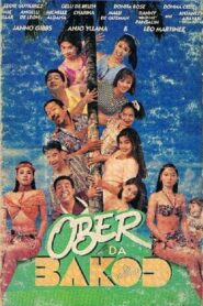 Ober Da Bakod: The Movie